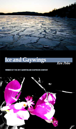 Ice and Gaywings cover